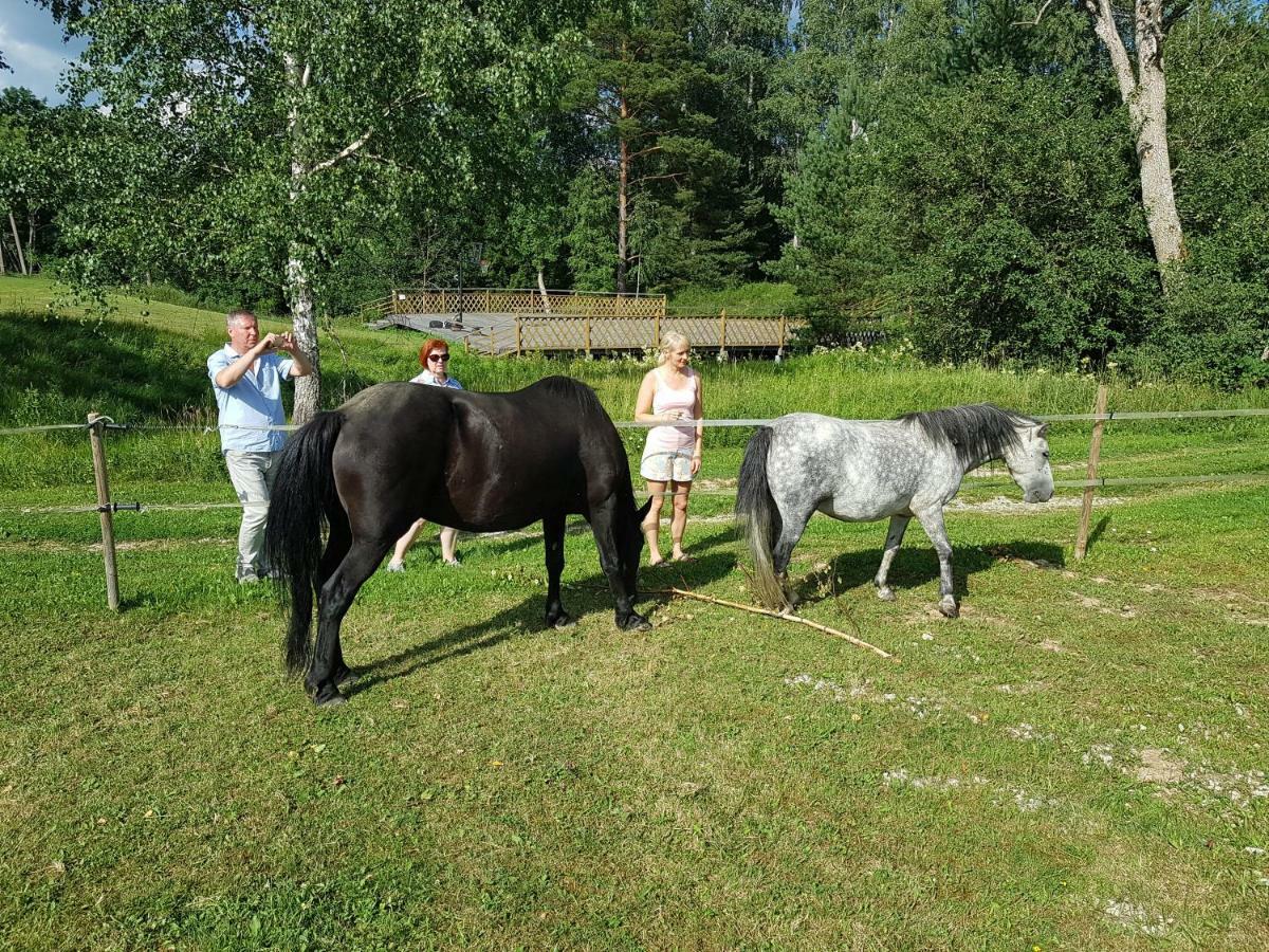 Hotel Soomaa Water Camp Jõesuu Zewnętrze zdjęcie
